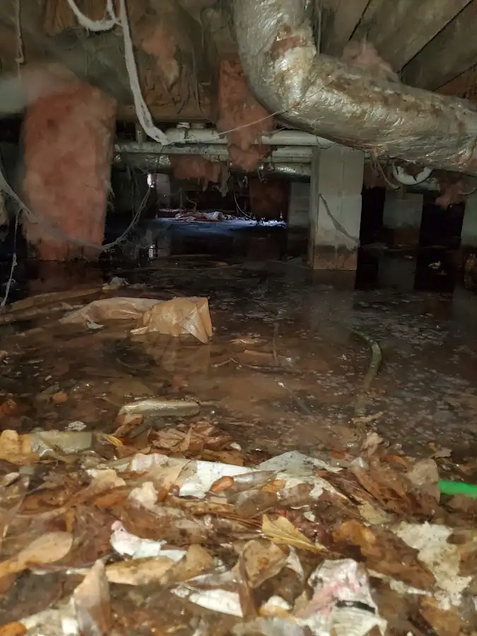 Crawl space flood assessment for Leak Detection & Repair in Islip